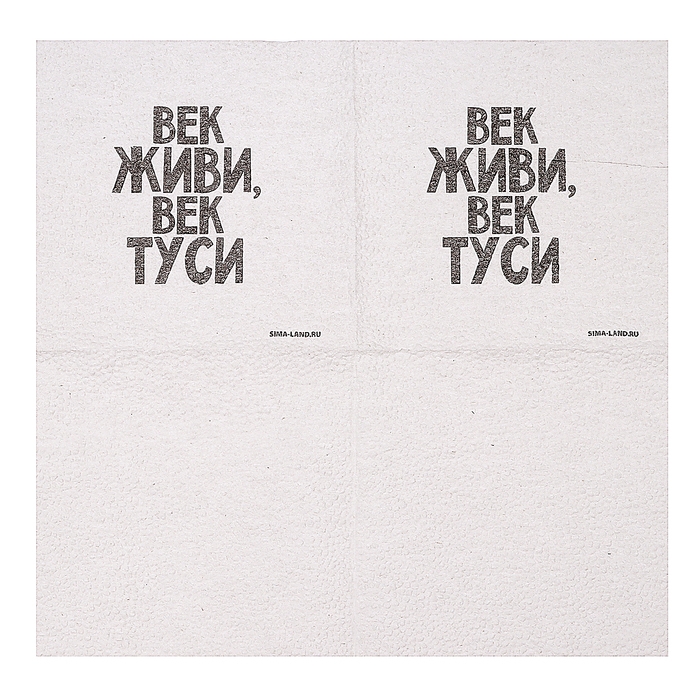 Салфетки бумажные однослойные Салфетки бумажные однослойные "Век живи, век туси" 24х24 см, набор 20 шт.