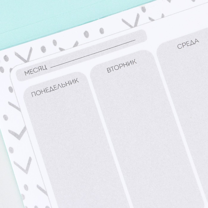 Планер с отрывными листами &laquo;Котопланы&raquo;, 50 листов