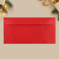 Набор подарочных конвертов «С Новым годом», 10 штук, тиснение, 22 х 11 см, Новый год Набор подарочных конвертов «С Новым годом», 10 штук, тиснение, 22 х 11 см, Новый год