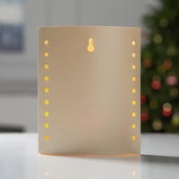 Светодиодная фигура &laquo;Тигр&raquo; 13 &times; 16 &times; 5 см, картон, батарейка ААх2 (не в комплекте), свечение тёплое белое