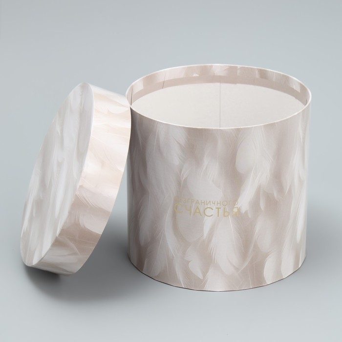 Набор шляпных коробок 5 в 1, упаковка подарочная, «Перья», 13 х 14 ‒ 19.5 х 22 см Набор шляпных коробок 5 в 1, упаковка подарочная, «Перья», 13 х 14 ‒ 19.5 х 22 см