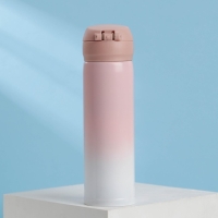 Термос &laquo;Суета&raquo;, 450 мл, сохраняет тепло 10-12 ч