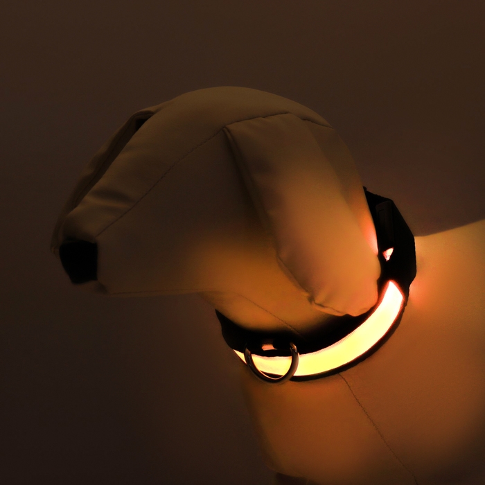 Ошейник с подсветкой Flash 3 режима свечения размер S, ОШ 35-43 х 2,5 см желтый