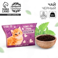 Чай чёрный в коробке &laquo;Особенному&raquo;, вкус: мята, 20 г.