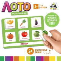 Лото &laquo;Растительный мир&raquo; по методике Г. Домана, 1-4 игрока, 3+