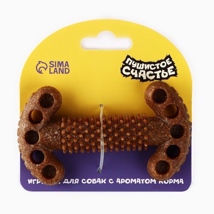Игрушка для собак жевательная со ароматом корма «Кость с шипами», 12.7 х 2.5 см Игрушка для собак жевательная со ароматом корма «Кость с шипами», 12.7 х 2.5 см