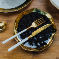 Столовые приборы из нержавеющей стали Magistro «Версаль», 4 предмета, цвет ручек белый Столовые приборы из нержавеющей стали Magistro «Версаль», 4 предмета, цвет ручек белый