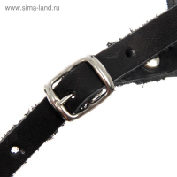 Намордник кожаный сетчатый с перемычкой №1, малый боксёр (дл по носу 7см, обхват морды 23см), 161347 Намордник кожаный сетчатый с перемычкой №1, малый боксёр (дл по носу 7см, обхват морды 23см), 161347