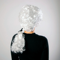 Карнавальный парик «Граф», 110 г, длина парика 47 см Карнавальный парик «Граф», 110 г, длина парика 47 см