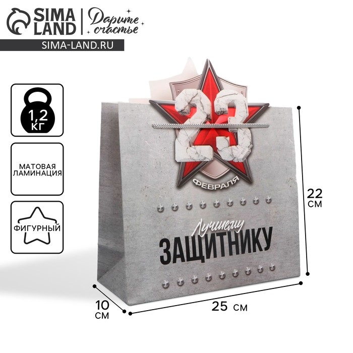 Пакет подарочный, упаковка, &laquo;Лучшему защитнику&raquo;, 25 х 26 х 10 см