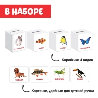 Сортер-копилка &laquo;Животные&raquo; по методике Г. Домана