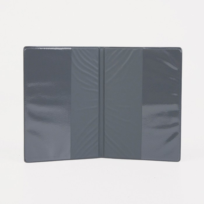 Обложка для паспорта, цвет разноцветный