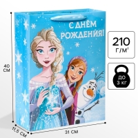 Пакет подарочный "С Днем рождения" 31х40х11 см, упаковка, Холодное сердце