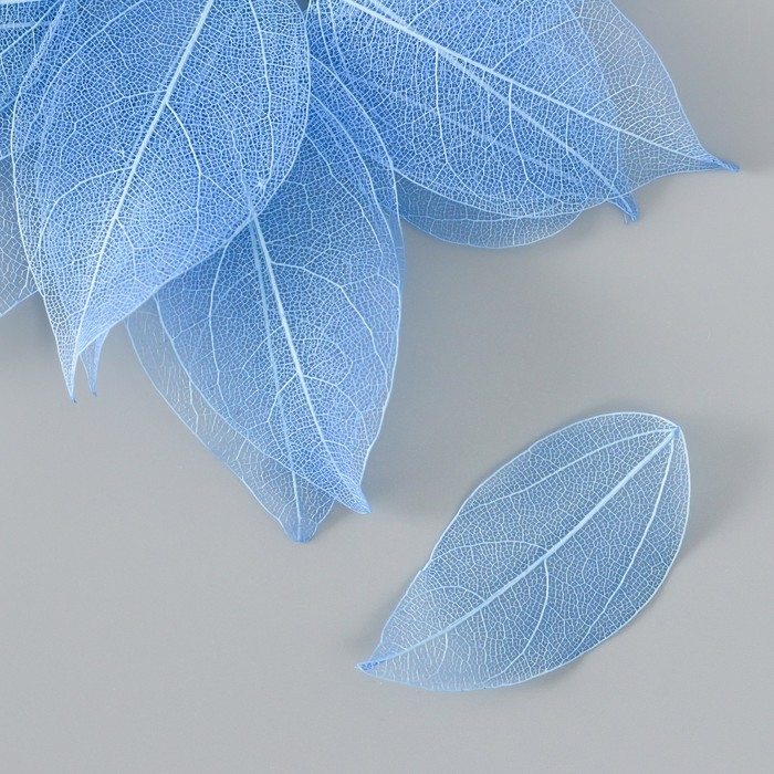 Листья скелетированные для творчества Листья скелетированные для творчества "Синие" набор 20 шт h=6-6,5 см