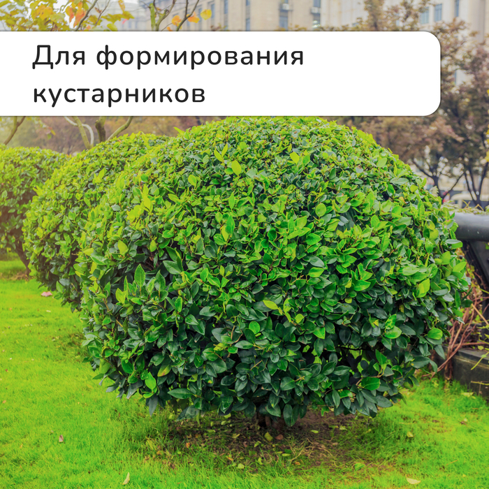 Кусторез, 21.5 Кусторез, 21.5" (55 см), с резиновыми ручками, с чехлом