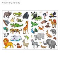 Наклейки многоразовые набор «Изучаем живую природу», 8 шт. Наклейки многоразовые набор «Изучаем живую природу», 8 шт.