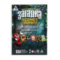 Книга-квест &laquo;Загадка подземного лабиринта&raquo; версия 1, 7+