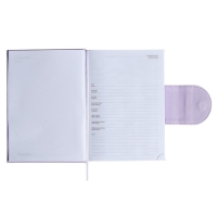 Ежедневник недатированный A5, 160 листов, deVENTE.Contea, твёрдая обложка из искусственной кожи с поролоном, блок 70 г/м2, сиреневый Ежедневник недатированный A5, 160 листов, deVENTE.Contea, твёрдая обложка из искусственной кожи с поролоном, блок 70 г/м2, сиреневый