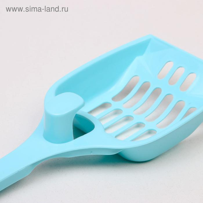 Туалет закрытый с совком, 47 х 40 х 39 см, бело-голубой Туалет закрытый с совком, 47 х 40 х 39 см, бело-голубой