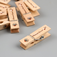 Декор для творчества дерево "Прищепка - Светлой Пасхи!" набор 10 шт Декор для творчества дерево "Прищепка - Светлой Пасхи!" набор 10 шт