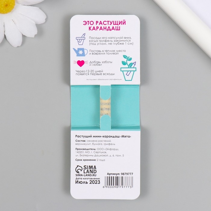 Растущие подарочные карандаши mini Витаминный клад "Мята"