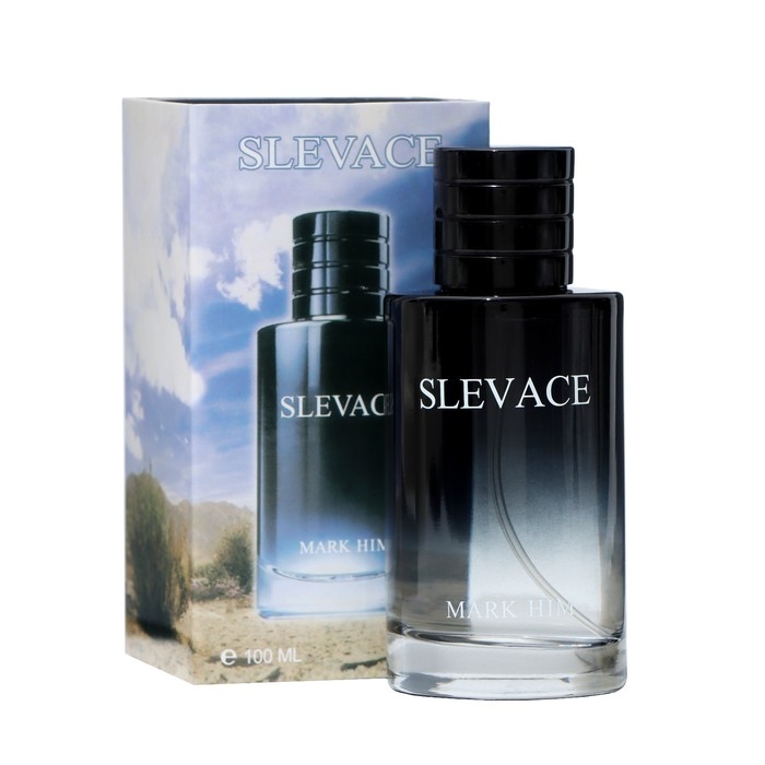 Туалетная вода мужская Slevace, 100 мл Туалетная вода мужская Slevace, 100 мл