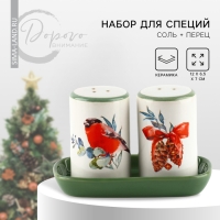 Новый год! Набор для специй новогодний керамический &laquo;Снегирь!&raquo;, 12х6.5х7 см, цвет белый