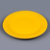 Тарелка одноразовая бумажная однотонная, желтый цвет 18 см, набор 10 штук Тарелка одноразовая бумажная однотонная, желтый цвет 18 см, набор 10 штук