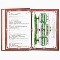 Родословная новогодняя книга с пером в шкатулке &laquo;Новый год: Каждый день&raquo;, 26 х 8 х 27 см, набор