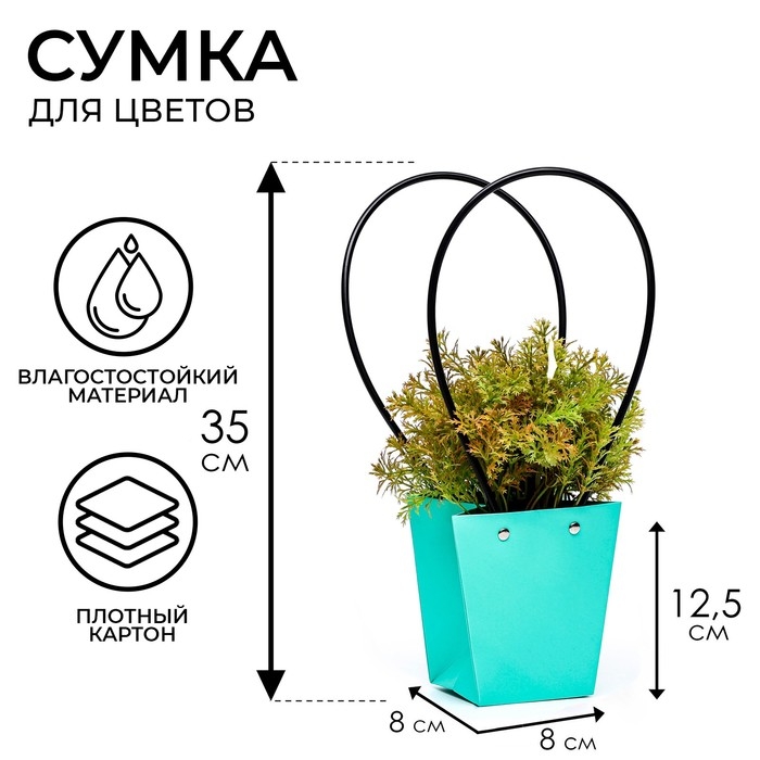 Сумка для цветов Мятная влагостойкая, 12x12-8x8-12.5 см Сумка для цветов Мятная влагостойкая, 12x12-8x8-12.5 см