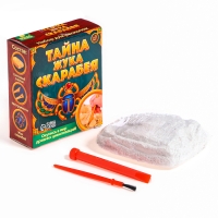 Набор для раскопок &laquo;Тайна жука Скарабея&raquo;