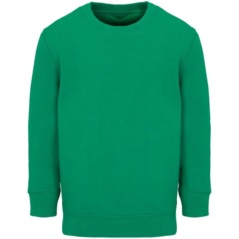 Свитшот детский Columbia Kids, ярко-зеленый, на рост 96-104