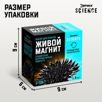 Набор для опытов &laquo;Живой магнит&raquo;