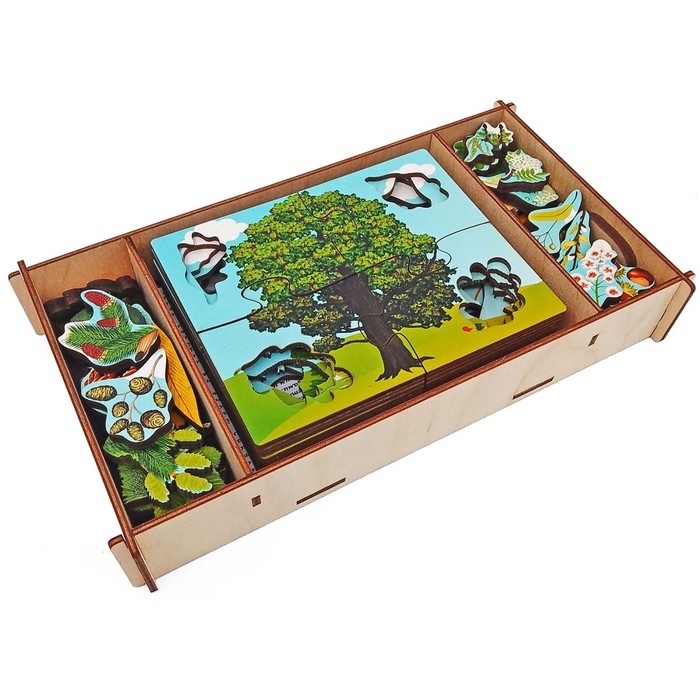 Деревянные пазлы &laquo;Деревья и что на них растёт&raquo;