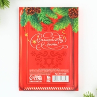 Подарочный набор новогодний &laquo;Северная почта&raquo;, блок бумаги 30 л, ручка синяя паста 1.0 мм и 5 шт наклеек