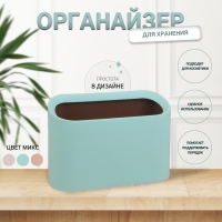 Органайзер для хранения, 21 &times; 21,5 &times; 12,5 &times; 15 см, цвет МИКС