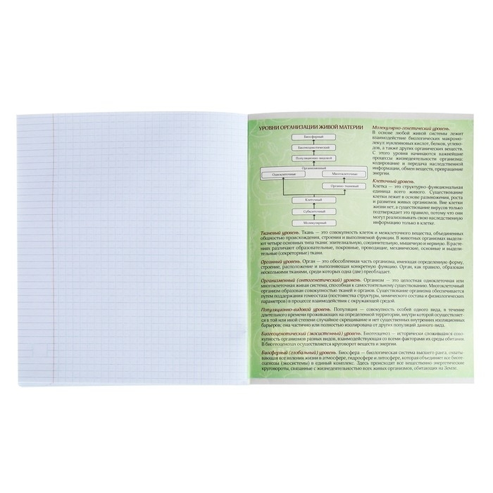 Тетрадь предметная Calligrata "На Чёрном", 48 листов в клетку Биология, со справочным материалом, обложка мелованный картон, УФ-лак, блок офсет