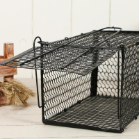 Крысоловка, 27 × 14 × 14 см, металлическая, Greengo Крысоловка, 27 × 14 × 14 см, металлическая, Greengo