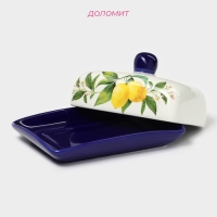 Маслёнка Доляна &laquo;Лимон&raquo;, 17&times;12&times;8,5 см, цвет белый