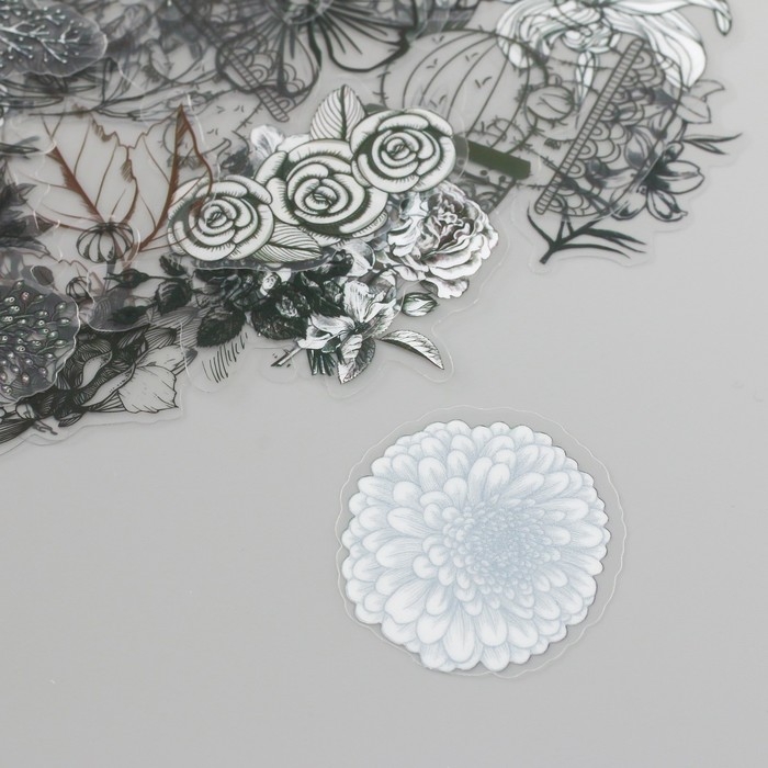 Наклейки для творчества пластик PVC "Эскизы растений" набор 60 шт 10х14 см