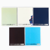 Тетрадь в клетку, 48 листов А5 на скрепке , внутренний блок №1 МИКС &laquo;1 сентября: Аниме парни&raquo; твин лак, уф лак