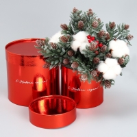 Набор коробок 2в1 круглые «С Новым годом!», красный металлик, 12 х 12, 15 х 15 см, Новый год Набор коробок 2в1 круглые «С Новым годом!», красный металлик, 12 х 12, 15 х 15 см, Новый год