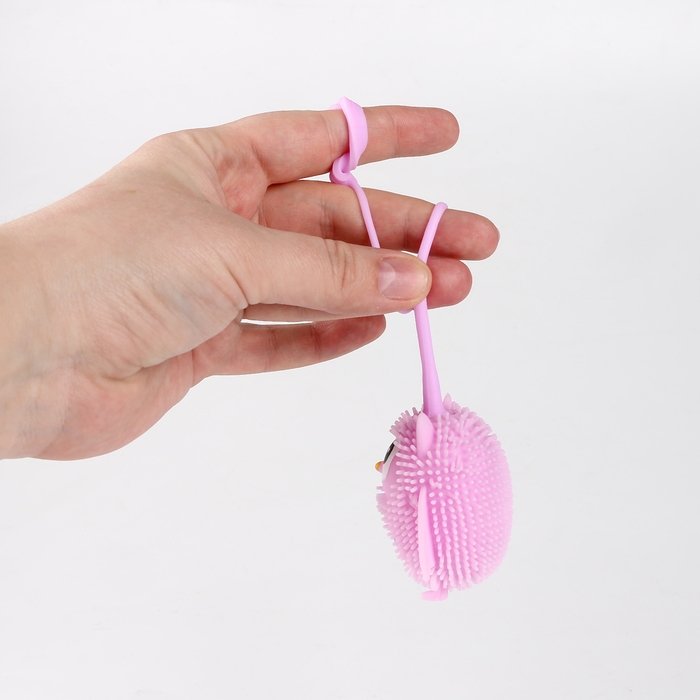 Мяч детский резиновый ёжка световой «Совушка», цвета МИКС , в шоубоксе Мяч детский резиновый ёжка световой «Совушка», цвета МИКС , в шоубоксе