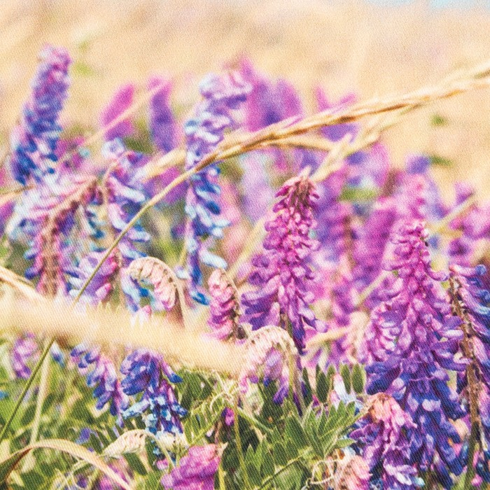 Набор подарочный "Любимая бабушка" полотенце 40х73см, лопатка