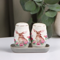 Набор для специй Доляна &laquo;Зайка&raquo;, 2 предмета: солонка, перечница, 130 мл