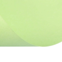 Бумага цветная А4, 50 листов Calligrata Пастель, зелёная, 80 г/м² Бумага цветная А4, 50 листов Calligrata Пастель, зелёная, 80 г/м²