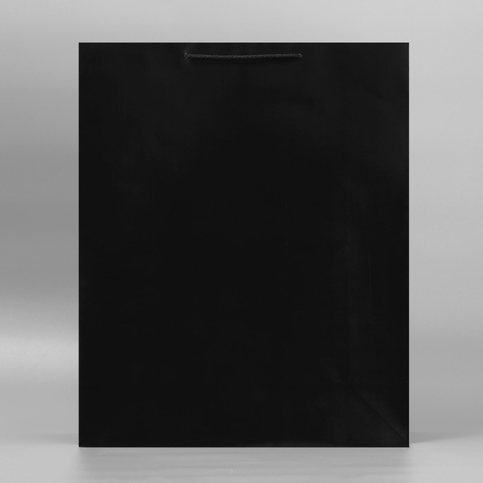 Пакет подарочный ламинированный, упаковка, &laquo;Чёрный&raquo;, 40 х 49 х 15 см