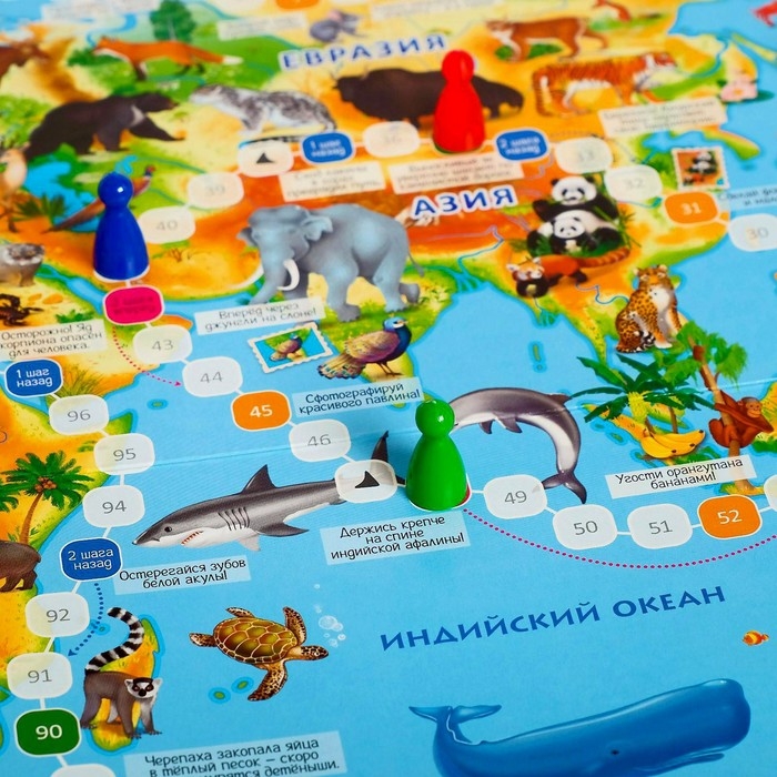 Настольная игра &laquo;Животный мир Земли&raquo;