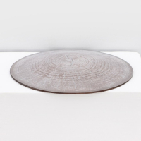 Набор столовый Доляна &laquo;Спил дерева&raquo;, 7 предметов: 30 см - 1 шт, 21,5 см - 6 шт, в подарочной упаковке