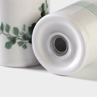 Набор для специй Доляна &laquo;Эвкалипт&raquo;, 2 предмета: солонка 130 мл, перечница 130 мл